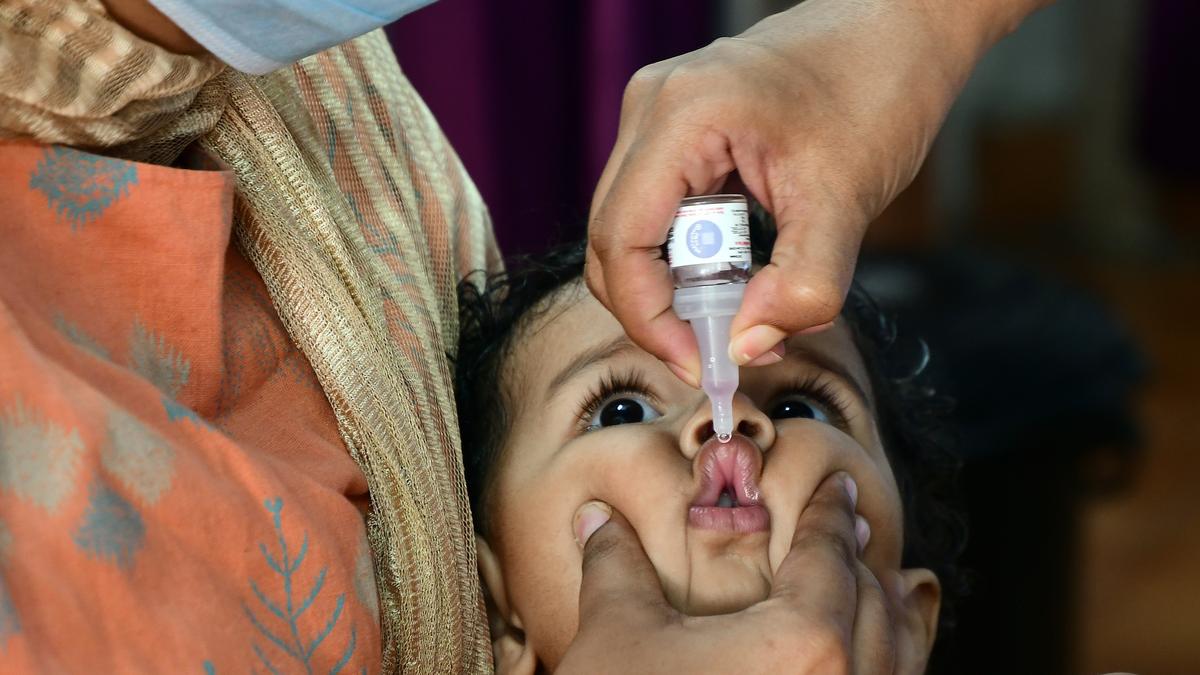 Exquisite Polio Drops Age Start Capture Collection Exquisite Polio Drops Age Start Capture Collection